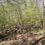 IMG_1943 (FILEminimizer)