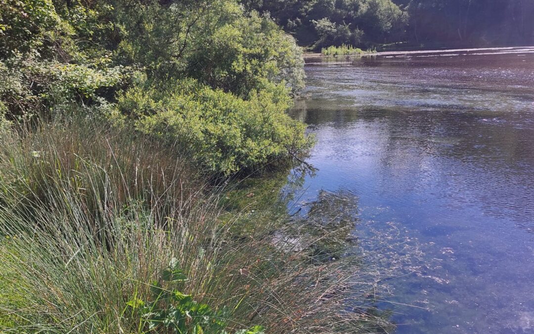 Aniene waterblitz, campionamenti ed analisi a Trevi