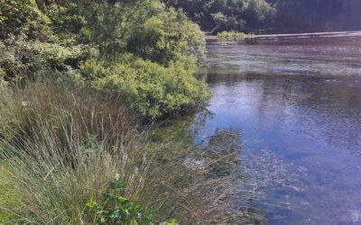Aniene waterblitz, campionamenti ed analisi a Trevi