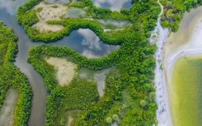 Giornata mondiale della biodiversità