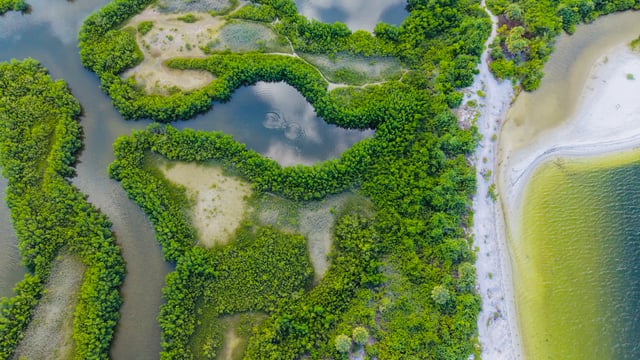 Giornata mondiale della biodiversità